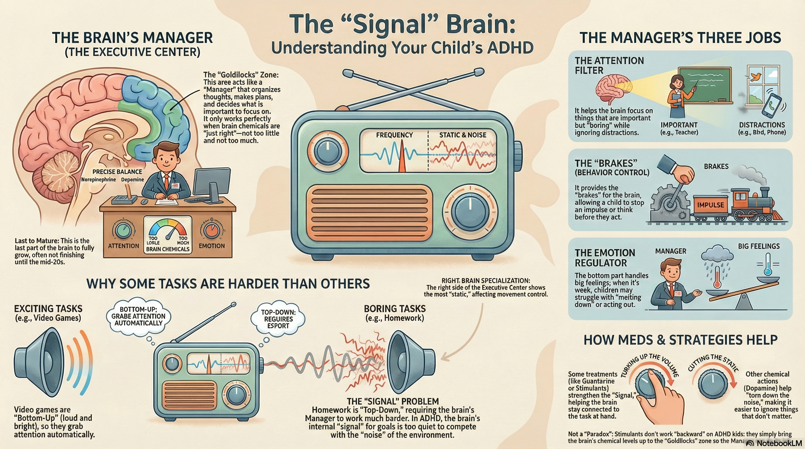 The Emerging Neurobiology of Attention Deficit Hyperactivity Disorder: The Key Role of the Prefrontal Association Cortex.